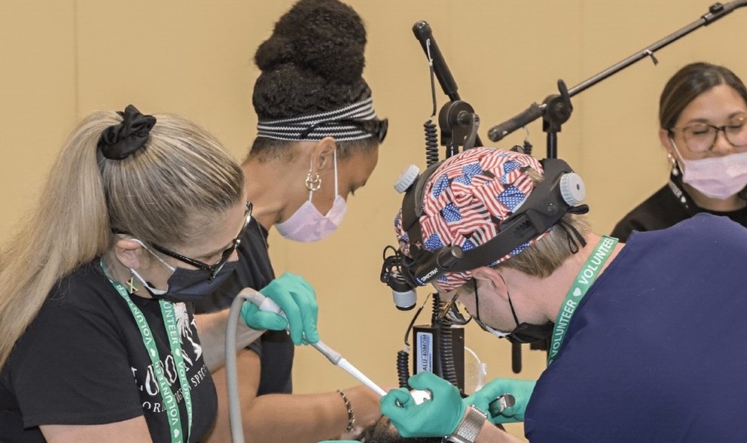 July 2026 - Palmetto Palace Free Dental Day